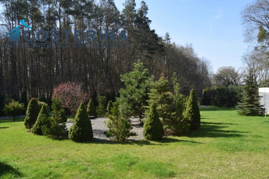 kościerski, Liniewo, Liniewo, Dom na sprzedaż