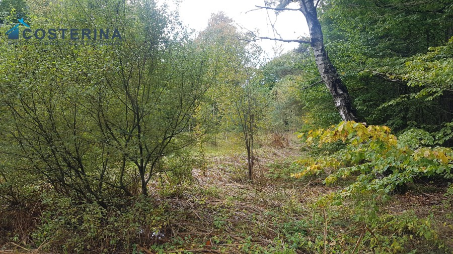 kartuski, Stężyca, Gołubie, Działka na sprzedaż