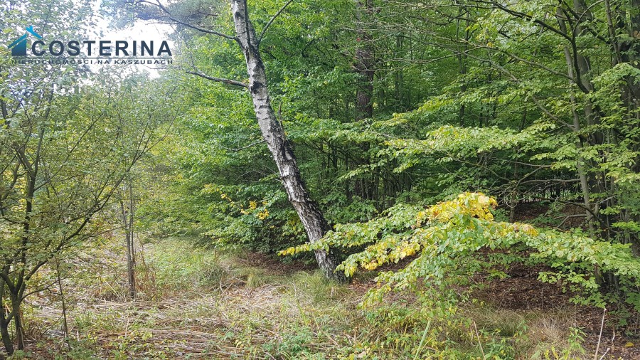 kartuski, Stężyca, Gołubie, Działka na sprzedaż