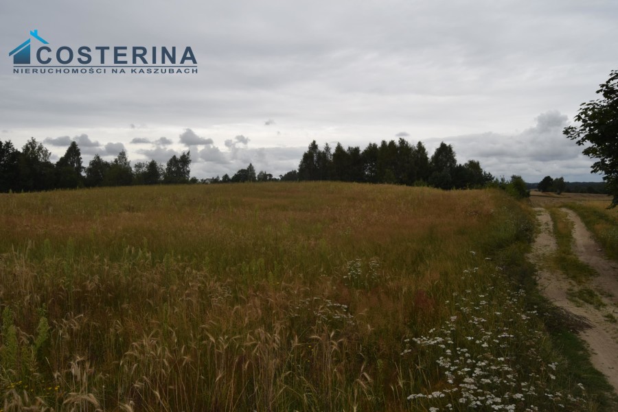 kartuski, Sierakowice, Lemany, Działka na sprzedaż
