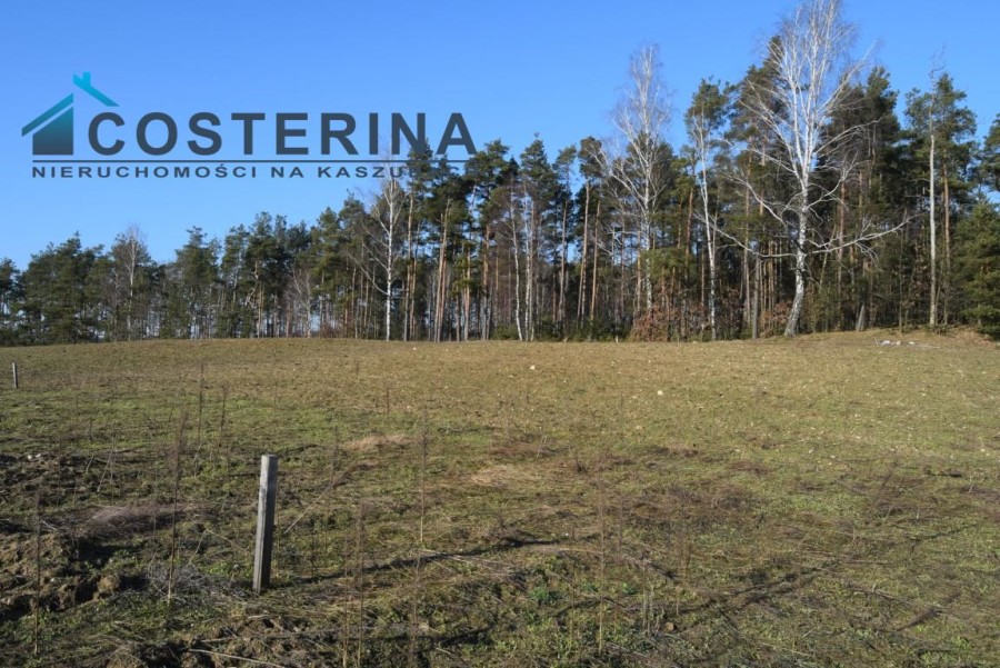 kościerski, Dziemiany, Kalisz, Działka na sprzedaż