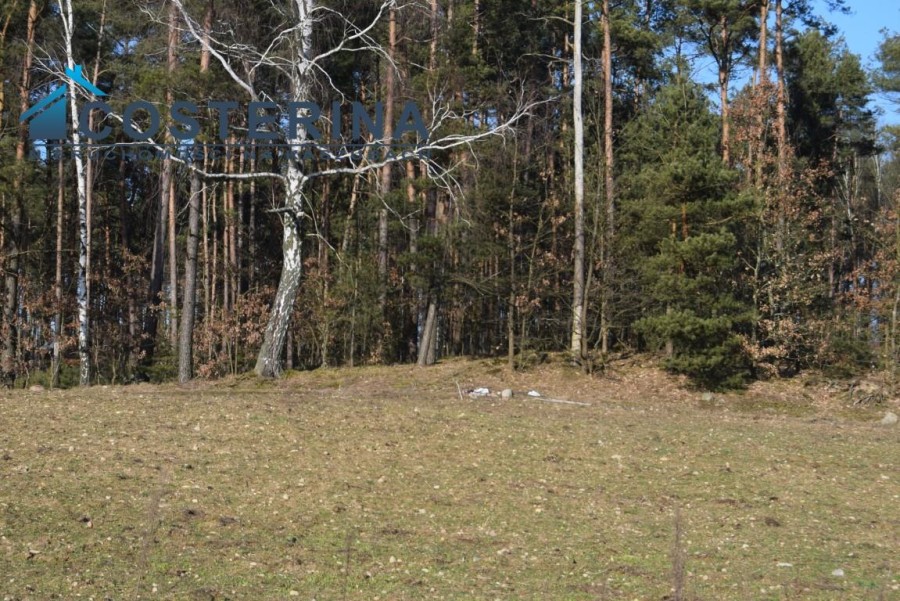 kościerski, Dziemiany, Kalisz, Działka na sprzedaż