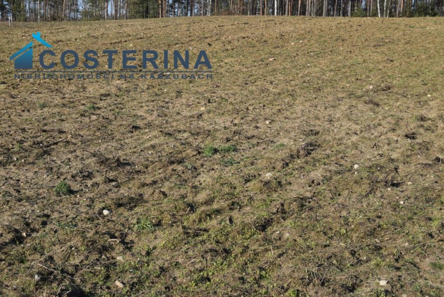 kościerski, Dziemiany, Kalisz, Działka na sprzedaż