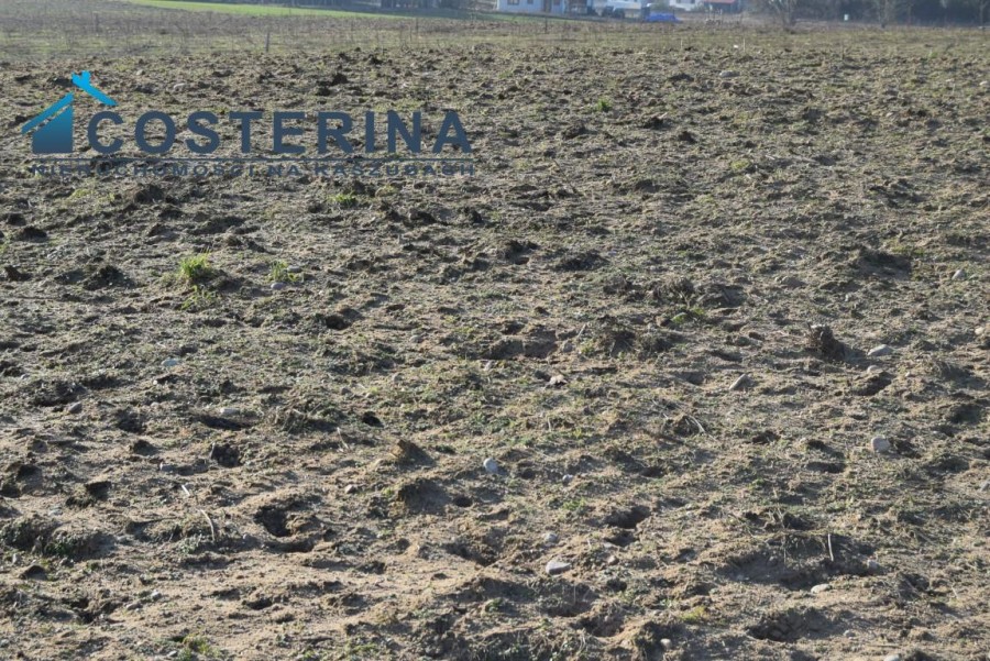 kościerski, Dziemiany, Kalisz, Działka na sprzedaż