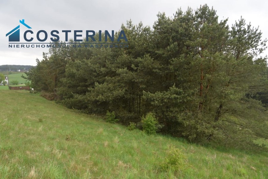 kościerski, Kościerzyna, Skorzewo, Działka na sprzedaż