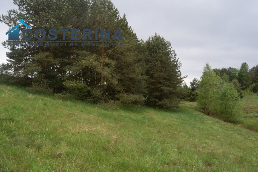 kościerski, Kościerzyna, Skorzewo, Działka na sprzedaż