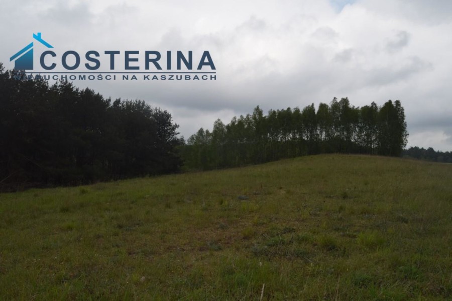 kościerski, Kościerzyna, Skorzewo, Działka na sprzedaż