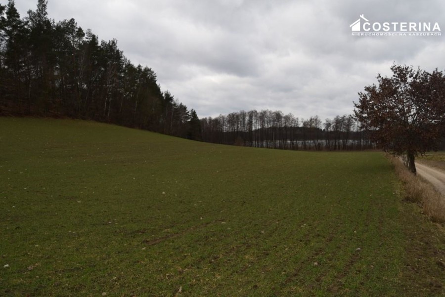 kościerski, Liniewo, Równe, Działka na sprzedaż