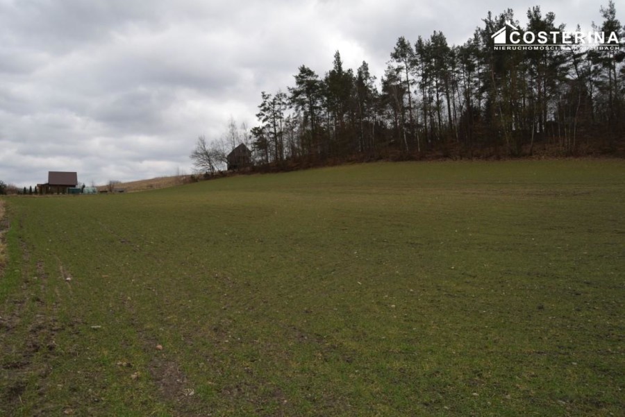 kościerski, Liniewo, Równe, Działka na sprzedaż