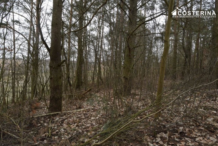 kościerski, Liniewo, Równe, Działka na sprzedaż