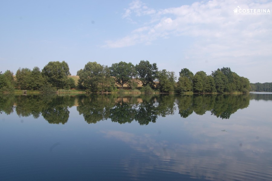 kościerski, Liniewo, Równe, Działka na sprzedaż