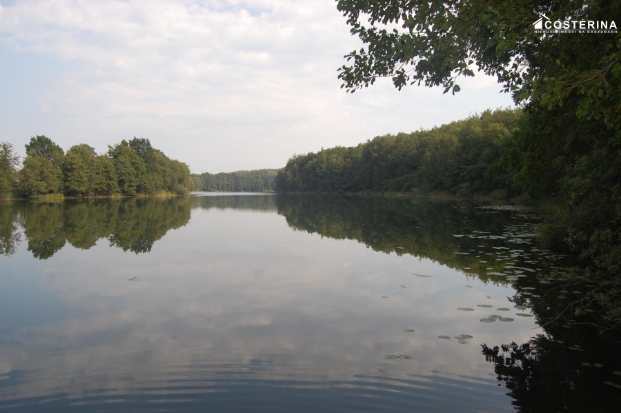 kościerski, Liniewo, Równe, Działka na sprzedaż