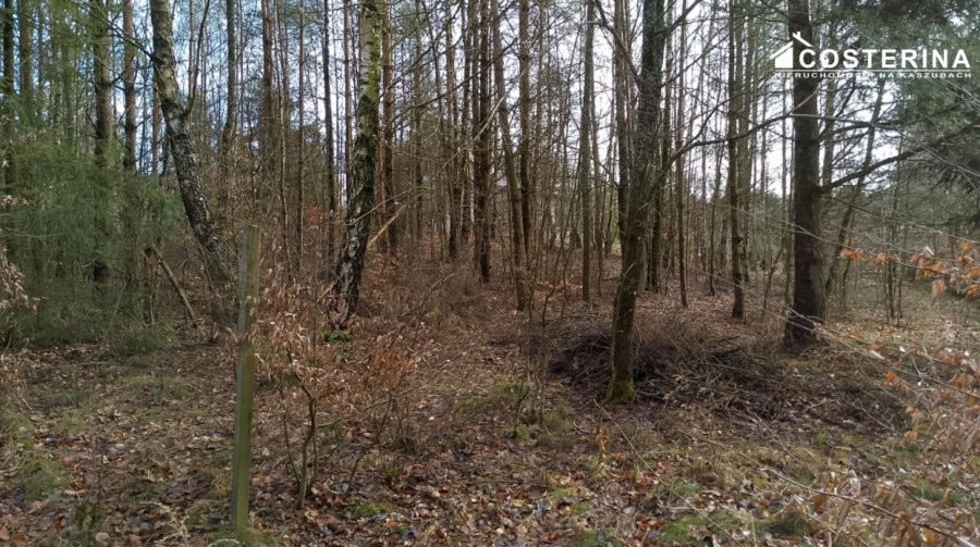 kartuski, Stężyca, Gołubie, Działka na sprzedaż