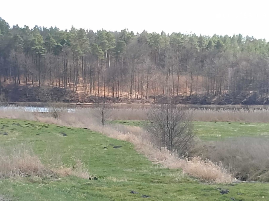 kościerski, Kościerzyna, Kościerzyna, Działka na sprzedaż