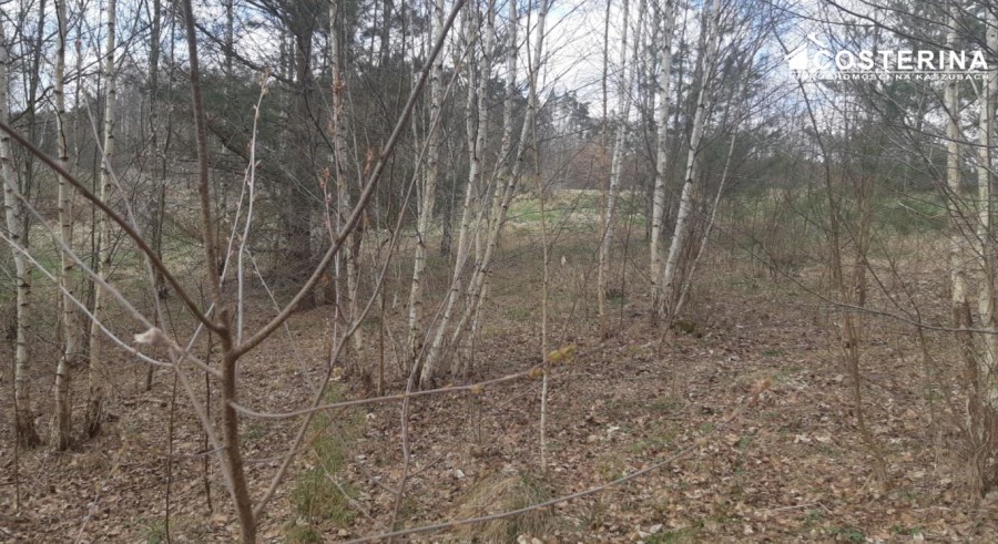 kościerski, Stara Kiszewa, Nowy Bukowiec, Działka na sprzedaż