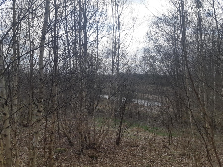 kościerski, Stara Kiszewa, Nowy Bukowiec, Działka na sprzedaż