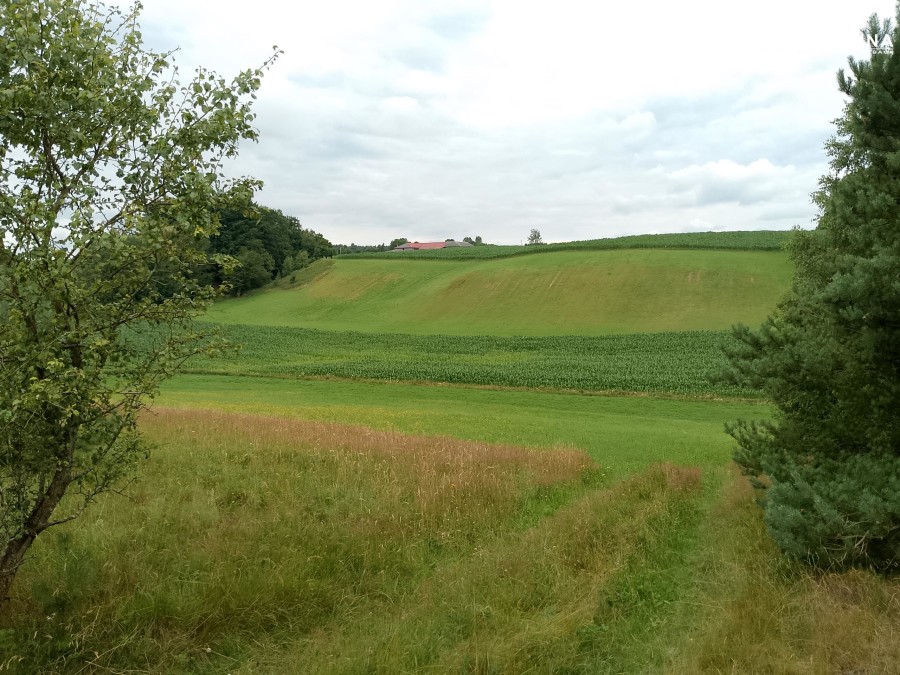 gdański, Przywidz, Nowa Wieś Przywidzka, Działka na sprzedaż