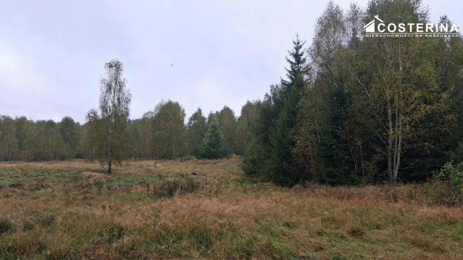 bytowski, Miastko, Zadry, Działka na sprzedaż