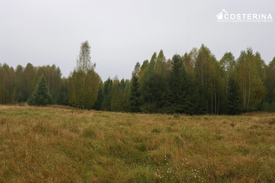 bytowski, Miastko, Zadry, Działka na sprzedaż