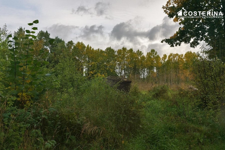 bytowski, Miastko, Zadry, Działka na sprzedaż