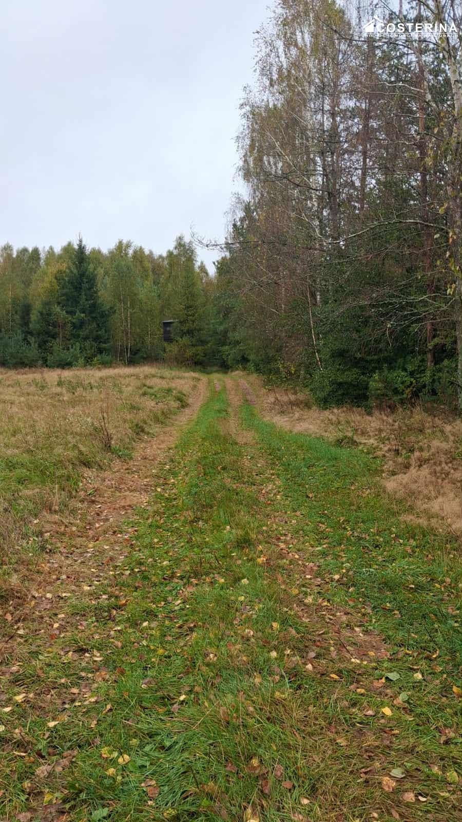 bytowski, Miastko, Zadry, Działka na sprzedaż