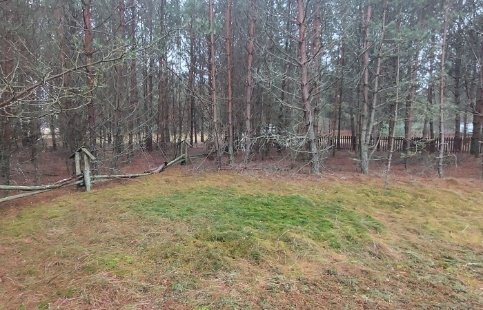 Wdzydze, Kościerzyna, Działka na sprzedaż