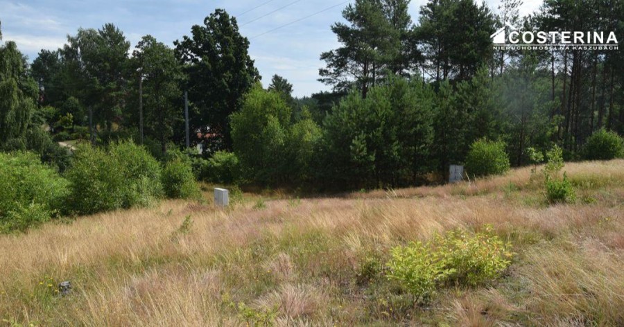kościerski, Dziemiany, Dziemiany, Działka na sprzedaż