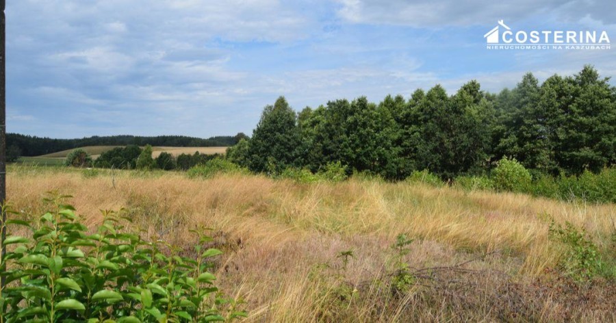 kościerski, Dziemiany, Dziemiany, Działka na sprzedaż