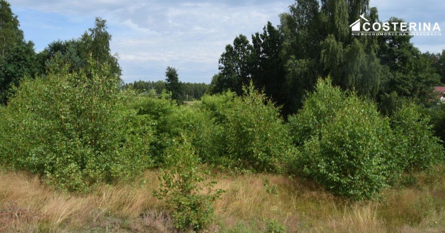 kościerski, Dziemiany, Dziemiany, Działka na sprzedaż