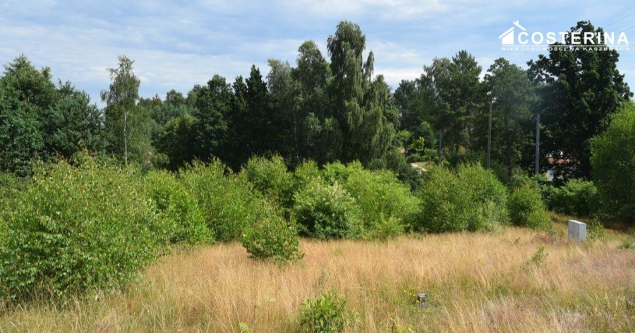 kościerski, Dziemiany, Dziemiany, Działka na sprzedaż