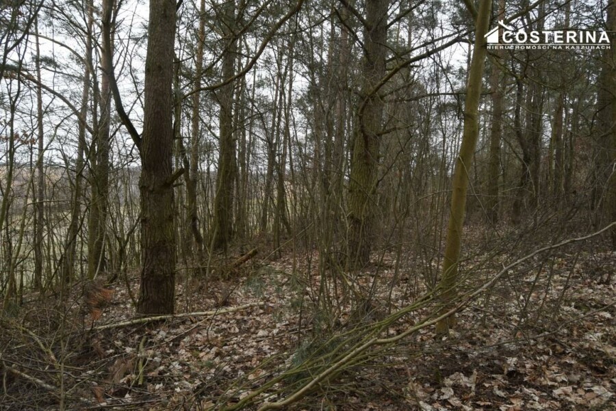 kościerski, Liniewo, Chrztowo, Działka na sprzedaż