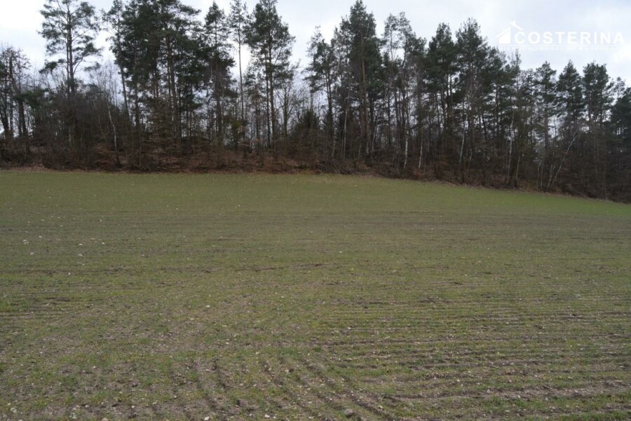 kościerski, Liniewo, Chrztowo, Działka na sprzedaż