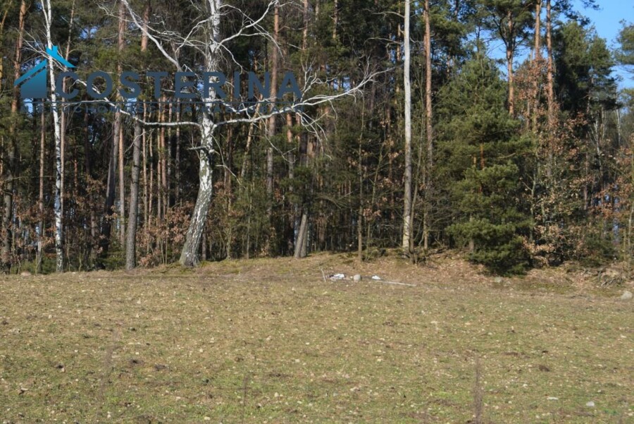 kościerski, Dziemiany, Kalisz, Działka na sprzedaż