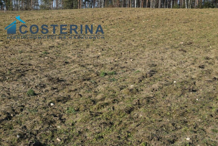 kościerski, Dziemiany, Kalisz, Działka na sprzedaż