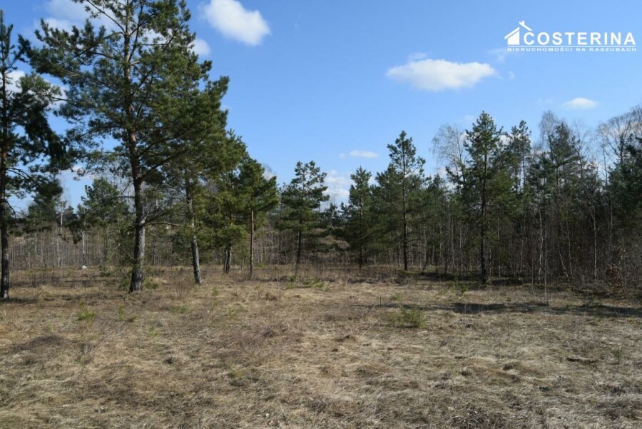 bytowski, Parchowo, Parchowo, Działka na sprzedaż