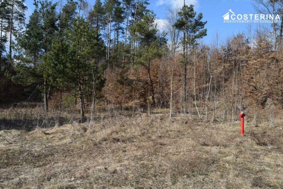 bytowski, Parchowo, Parchowo, Działka na sprzedaż