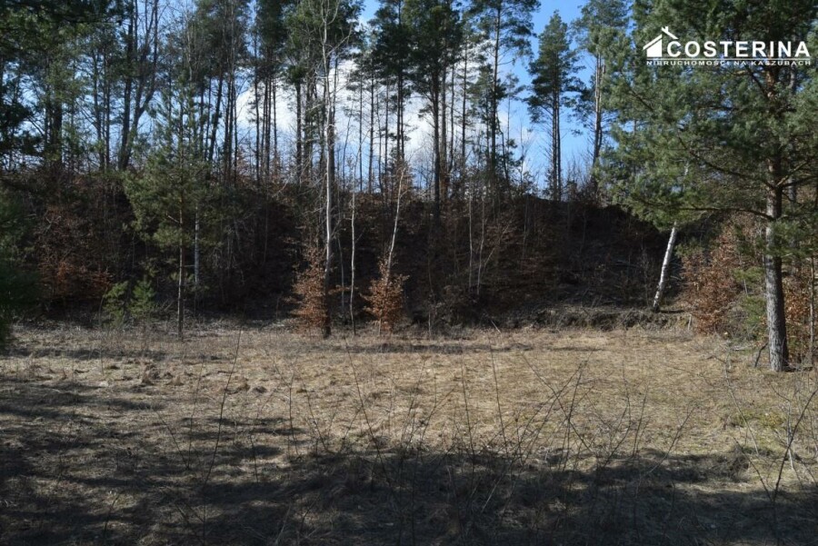 bytowski, Parchowo, Parchowo, Działka na sprzedaż