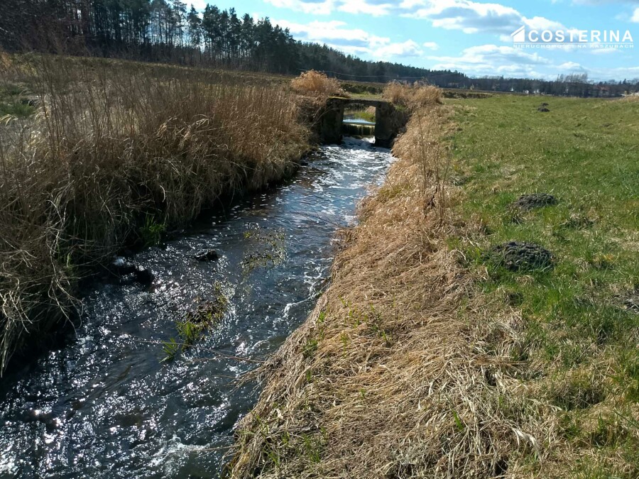 kościerski, Kościerzyna, Kościerzyna, Działka na sprzedaż