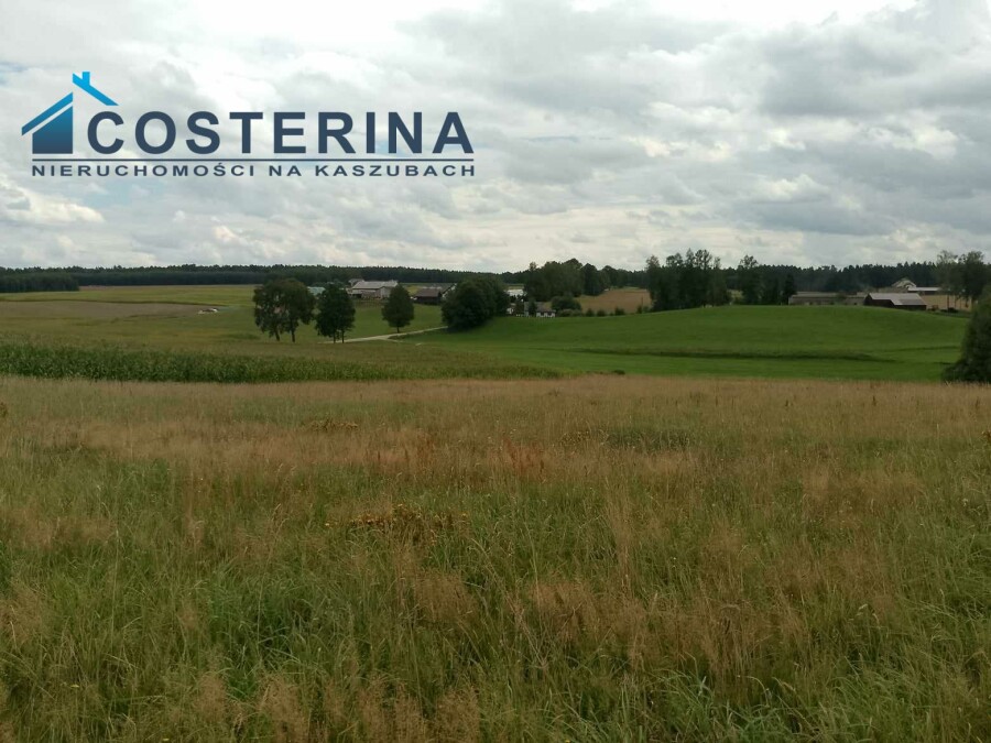 kartuski, Stężyca, Sikorzyno, Działka na sprzedaż