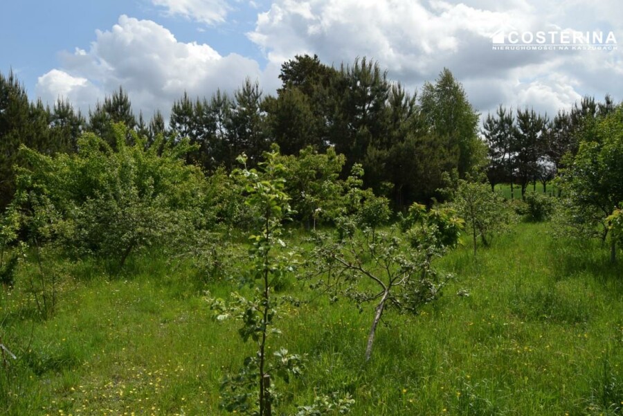 kartuski, Stężyca, Gołubie, Dom na sprzedaż
