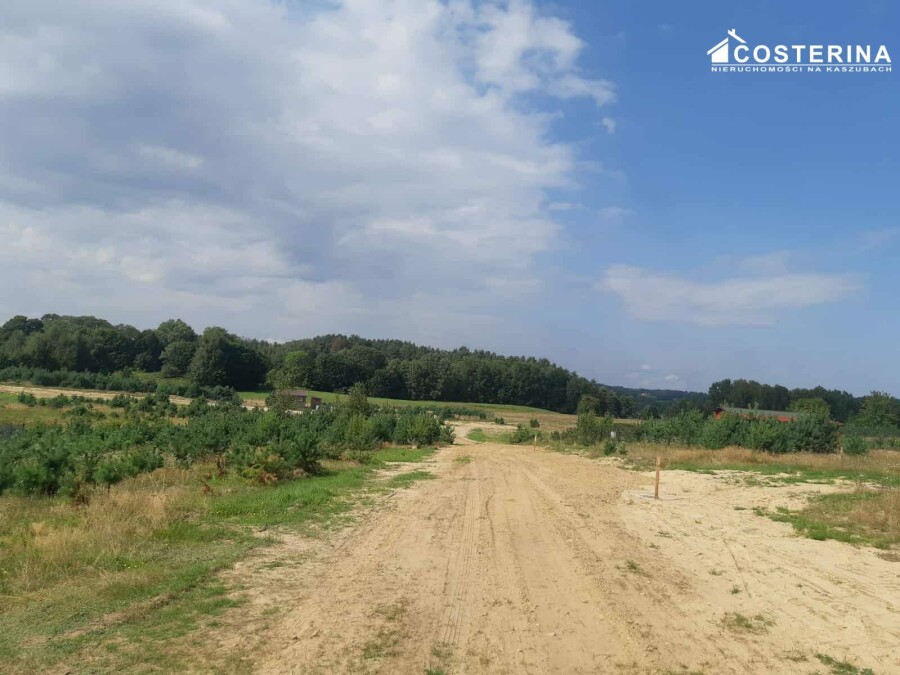 kościerski, Dziemiany, Piechowice, Działka na sprzedaż