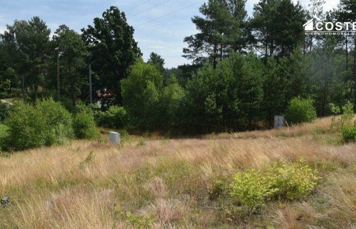 Dziemiany, Dziemiany, Działka na sprzedaż