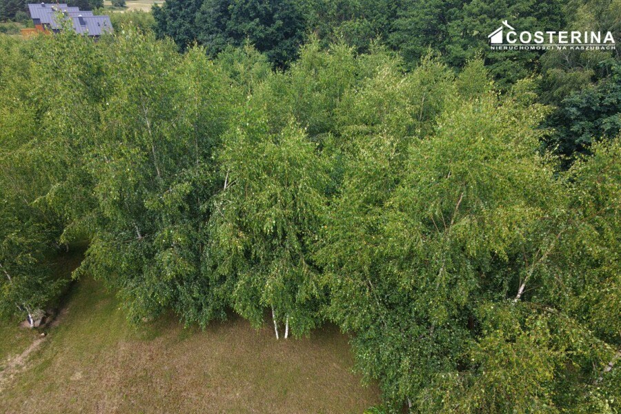 kościerski, Dziemiany, Piechowice, Działka na sprzedaż