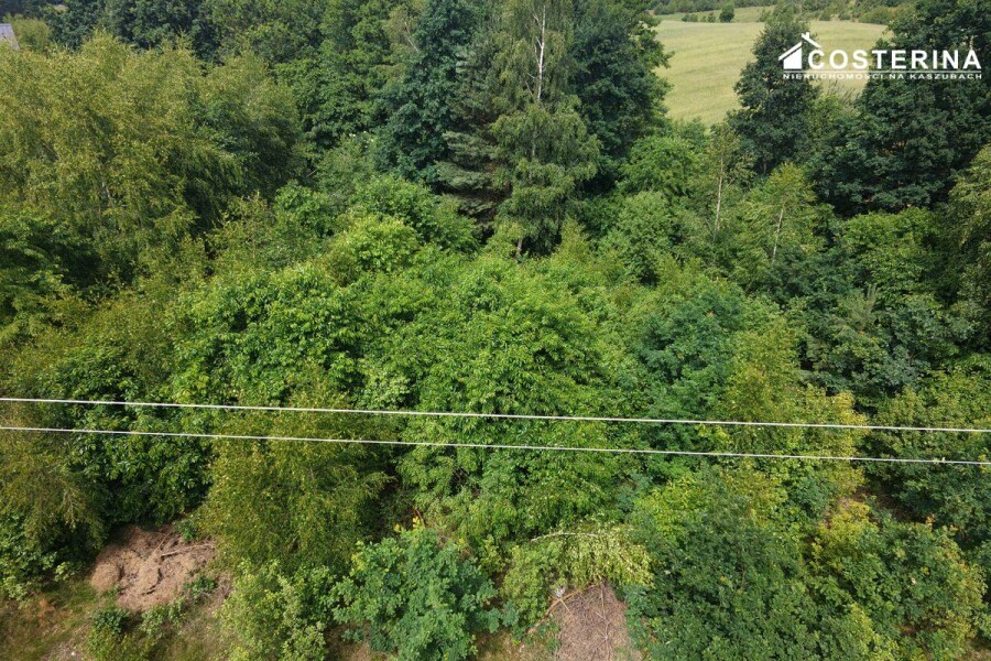 kościerski, Dziemiany, Piechowice, Działka na sprzedaż
