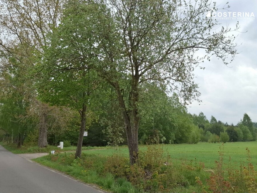 kościerski, Liniewo, Sobącz, Działka na sprzedaż