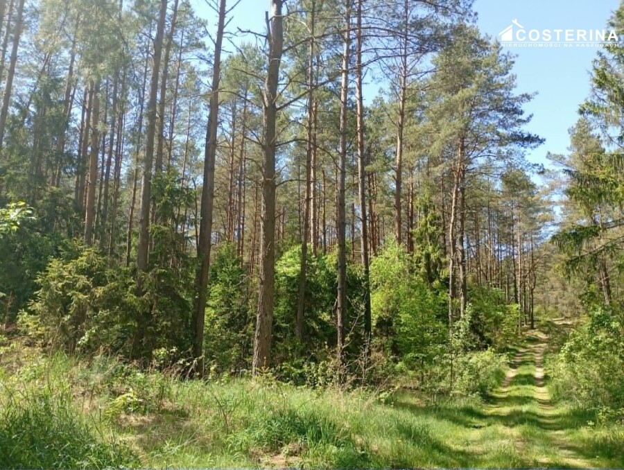kościerski, Kościerzyna, Gostomie, Działka na sprzedaż
