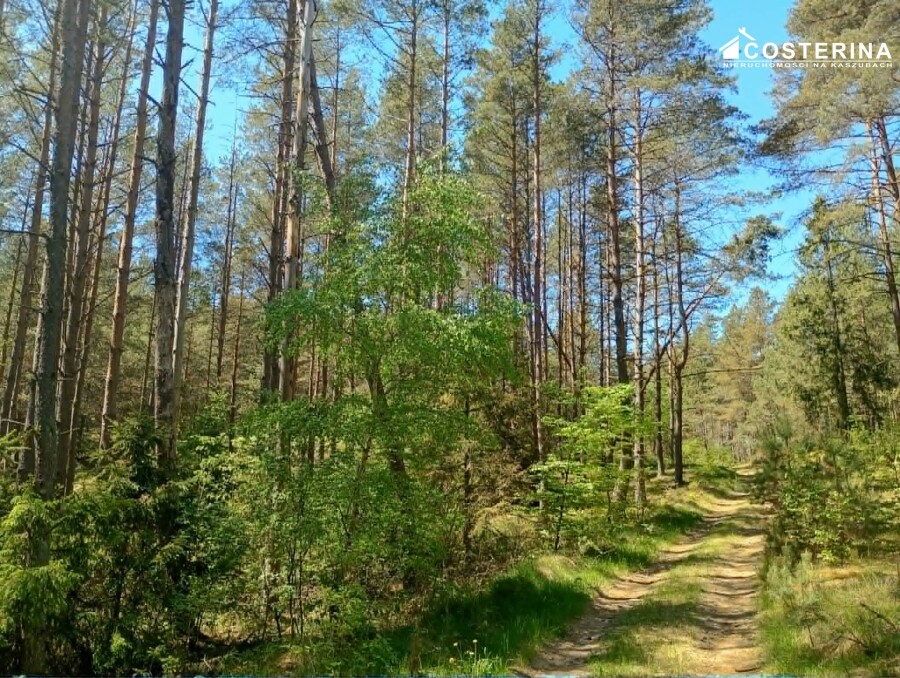 kościerski, Kościerzyna, Gostomie, Działka na sprzedaż