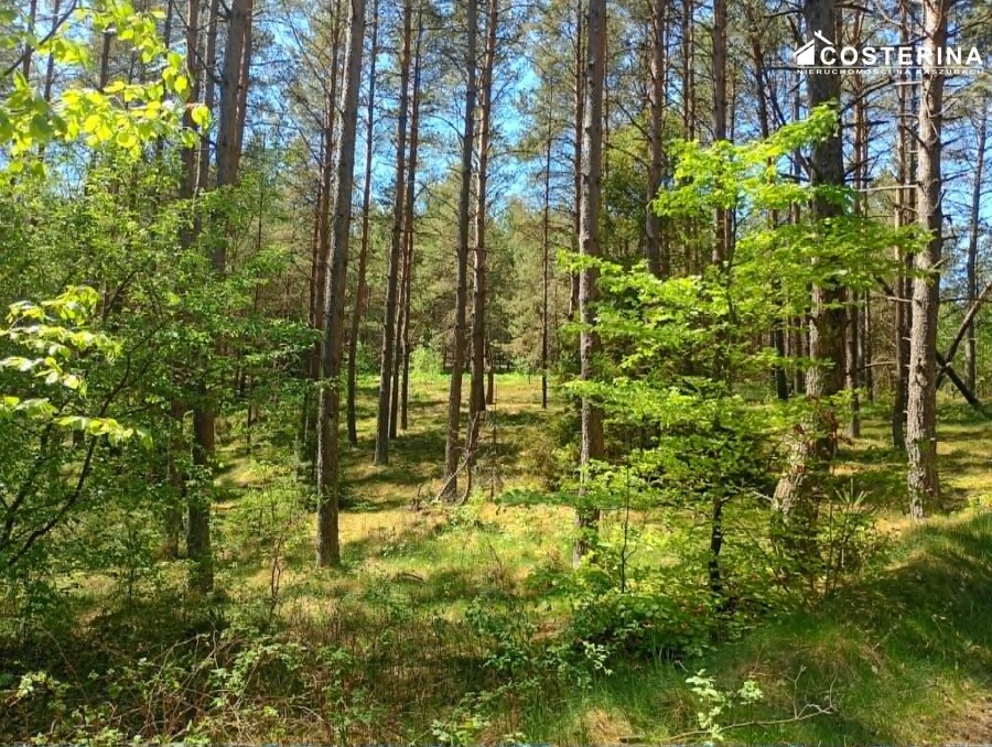 kościerski, Kościerzyna, Gostomie, Działka na sprzedaż