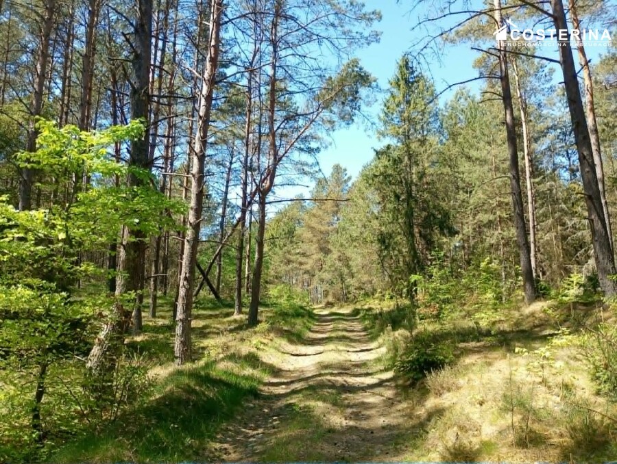 kościerski, Kościerzyna, Gostomie, Działka na sprzedaż