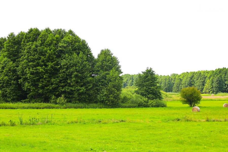 kościerski, Stara Kiszewa, Stara Kiszewa, Działka na sprzedaż
